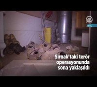 60 saniyede bugün (24 Mayıs 2016)