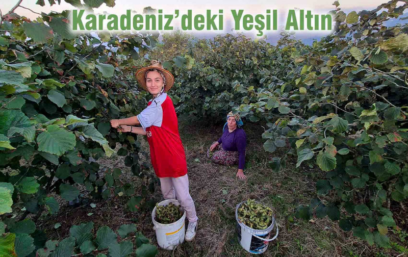 Sahibine Hep Kazandıran Mucizevî Ürün
